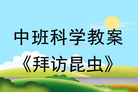 中班科學教案：拜訪昆蟲中班科學教案：拜訪昆蟲