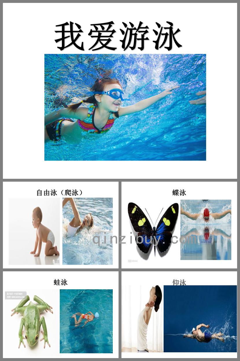 中班藝術我愛游泳PPT課件