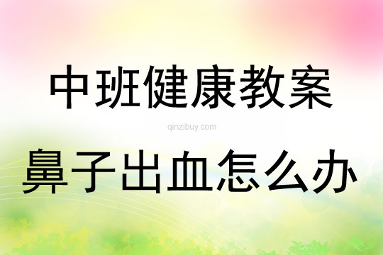 中班健康活動鼻子出血怎么辦教案反思