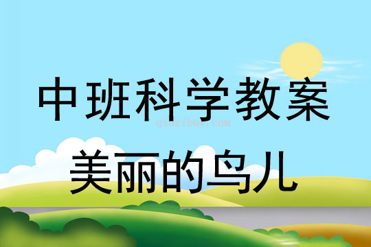 幼兒園中班科學教案；美麗的鳥兒中班科學教案；美麗的鳥兒