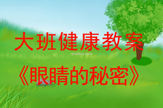 幼兒園大班健康優(yōu)質(zhì)課：眼睛的秘密大班健康優(yōu)質(zhì)課：眼睛的秘密
