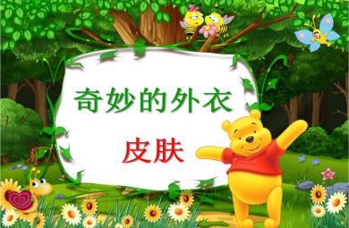 中班健康奇妙的外衣——皮膚PPT課件