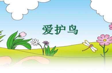 中班社會(huì)愛(ài)護(hù)鳥(niǎo)PPT課件