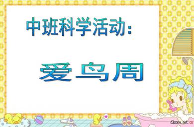 中班科學(xué)愛(ài)鳥周PPT課件