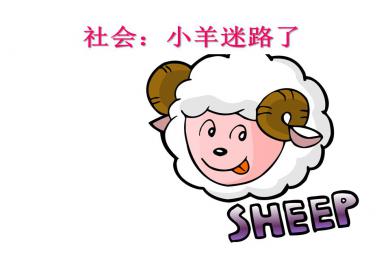 中班社會小羊迷路了PPT課件