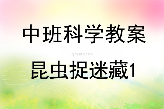 幼兒園中班科學教案：昆蟲捉迷藏1中班科學教案：昆蟲捉迷藏1