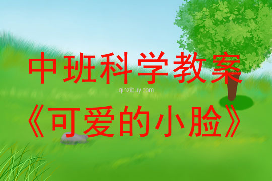 幼兒園中班科學教案：可愛的小臉中班科學教案：可愛的小臉