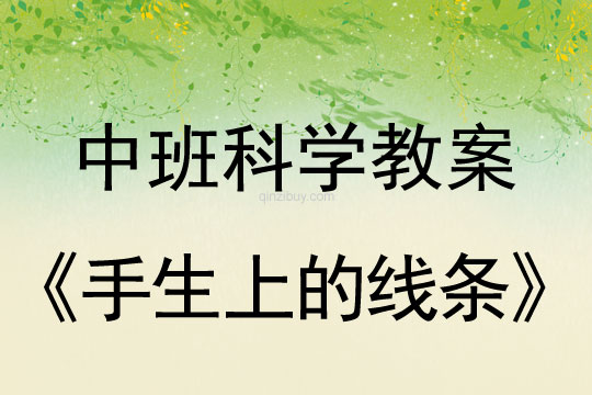 幼兒園中班科學教案：手生上的線條中班科學教案：手生上的線條