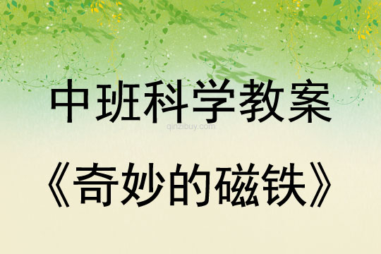 中班科學教案：奇妙的磁鐵中班科學：奇妙的磁鐵