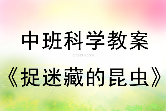 中班科學(xué)教案：捉迷藏的昆蟲中班科學(xué)：捉迷藏的昆蟲