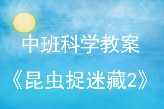 幼兒園中班科學教案：昆蟲捉迷藏2中班科學教案：昆蟲捉迷藏2