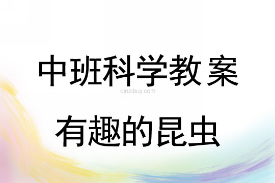 幼兒園中班科學教案：有趣的昆蟲中班科學教案：有趣的昆蟲