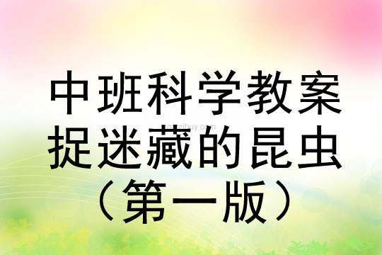 中班科學：捉迷藏的昆蟲（第一版）中班科學：捉迷藏的昆蟲（第一版）