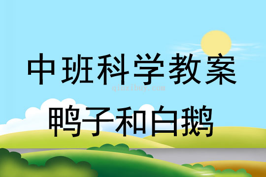 中班科學教案：鴨子和白鵝中班科學教案：鴨子和白鵝