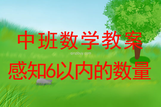 幼兒園中班數(shù)學(xué)活動(dòng)：感知6以內(nèi)的數(shù)量中班數(shù)學(xué)：感知6以內(nèi)的數(shù)量