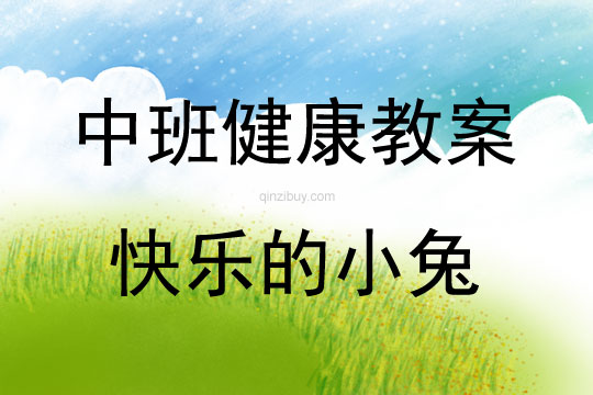 中班健康快樂的小兔教案反思