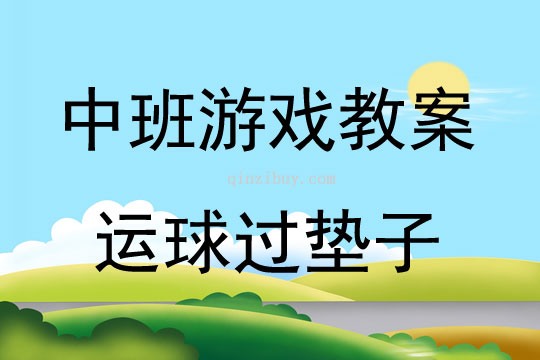 中班體育游戲活動運球過墊子教案反思