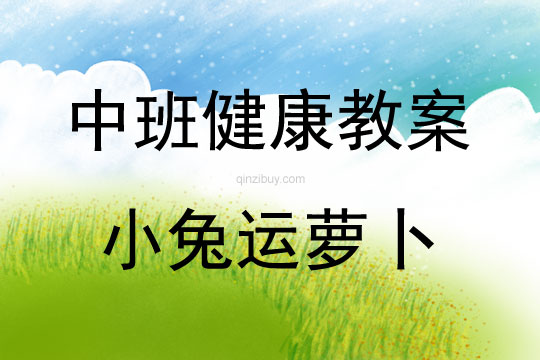 中班健康小兔運蘿卜教案反思