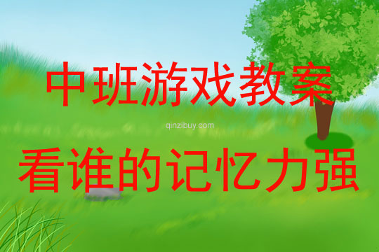 中班數學游戲《看誰的記憶力強》教案反思