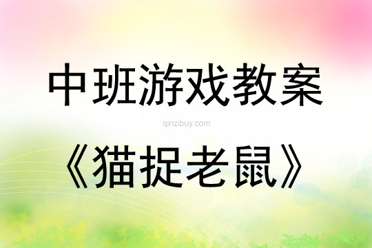中班體育游戲活動貓捉老鼠教案反思