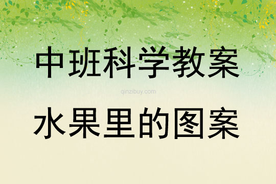 中班科學水果里的圖案教案反思