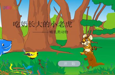 幼兒園哺乳動物--吃奶長大的小老虎FLASH課件動畫