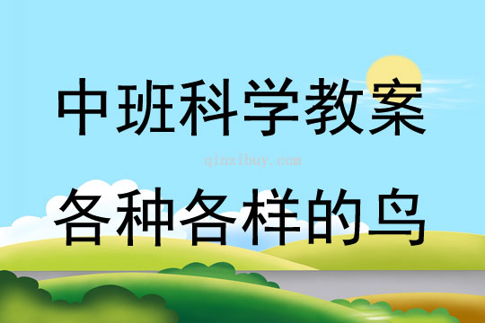 中班科學各種各樣的鳥教案反思