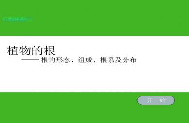幼兒園大班成語故事拔苗助長FLASH課件動畫