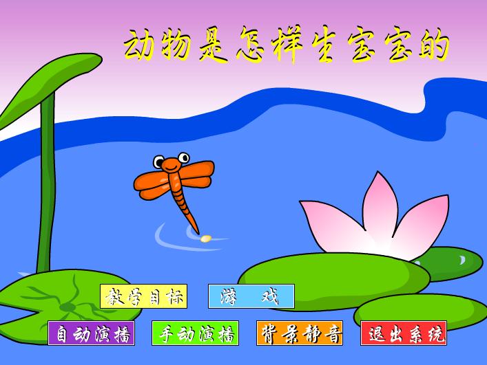 幼兒園大班科學(xué)動(dòng)物怎樣生寶寶的FLASH課件動(dòng)畫