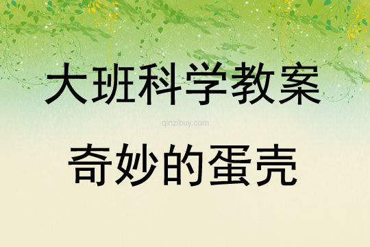 大班科學奇妙的蛋殼教案反思