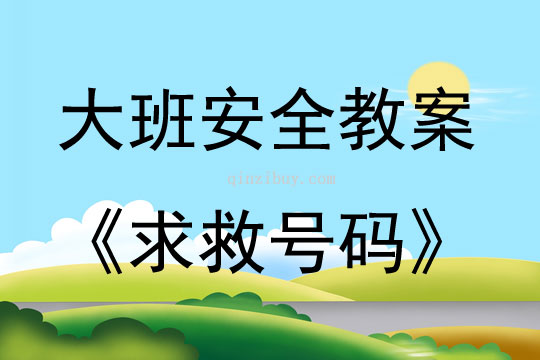大班戶外活動安全求救號碼教案反思