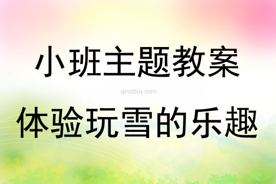 小班主題活動體驗玩雪的樂趣教案反思