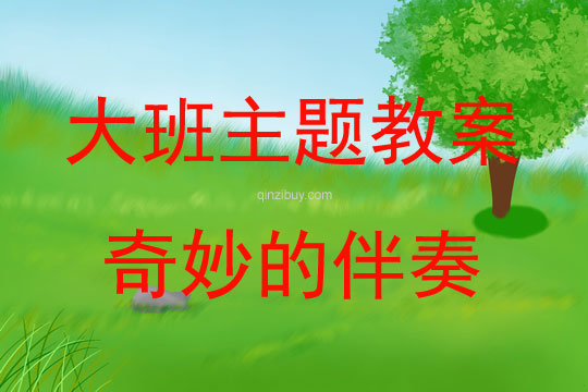 大班主題奇妙的伴奏教案