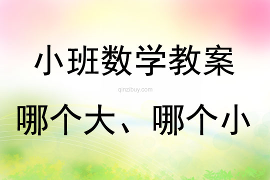 小班數(shù)學(xué)活動(dòng)哪個(gè)大、哪個(gè)小教案反思