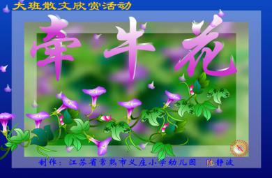 幼兒園大班語言散文欣賞牽牛花FLASH課件動畫