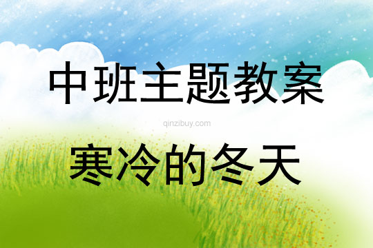 中班主題活動寒冷的冬天教案反思