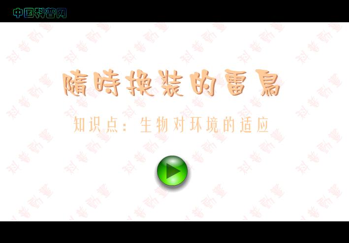 幼兒園科學(xué)教育隨時(shí)換裝的雷鳥(niǎo)FLASH課件動(dòng)畫(huà)
