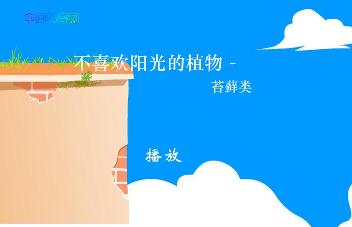 幼兒園科學(xué)不喜歡陽光的植物-苔蘚類FLASH課件動(dòng)畫