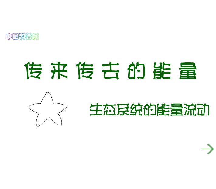 幼兒園科學活動傳來傳去的能量FLASH課件動畫