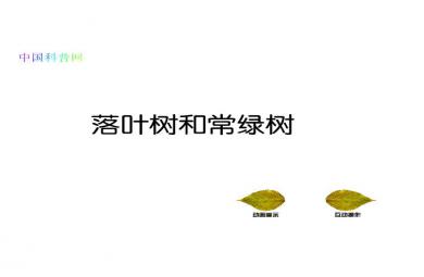 幼兒園科學教育落葉樹和常綠樹FLASH課件動畫