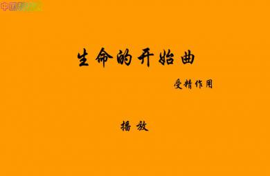 幼兒園精子和卵子FLASH課件動畫