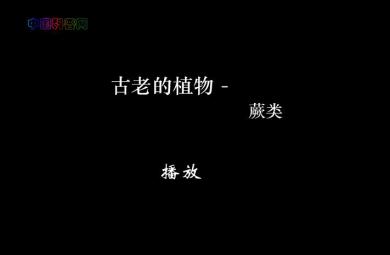 幼兒園科學古老的蕨類植物FLASH課件動畫