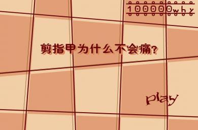 幼兒園科普剪指甲為什么不會痛？FLASH課件動畫