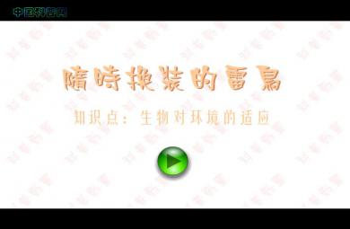 幼兒園科學教育隨時換裝的雷鳥FLASH課件動畫