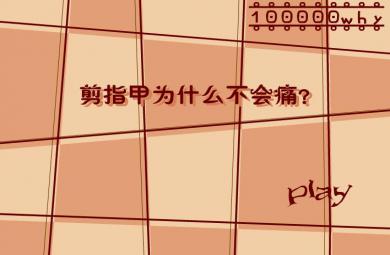 幼兒園科學(xué)剪指甲為什么不痛FLASH課件動畫