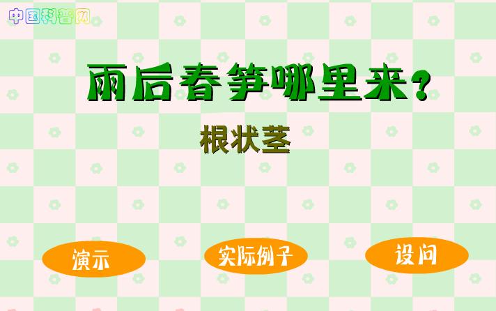 幼兒園科學(xué)雨后春筍哪里來(lái)FLASH課件動(dòng)畫