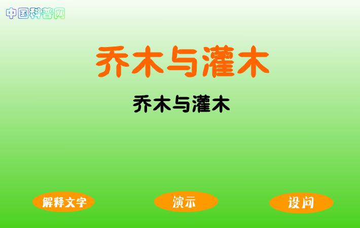 幼兒園科學文化教育認識樹的構造FLASH課件動畫