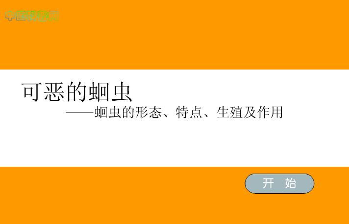 幼兒園科學可惡的蛔蟲FLASH課件動畫