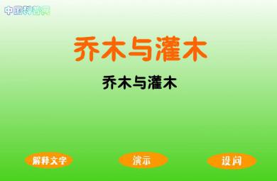 幼兒園科學文化教育認識樹的構造FLASH課件動畫