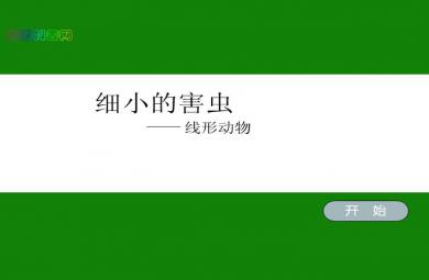 幼兒園科學細小的害蟲FLASH課件動畫